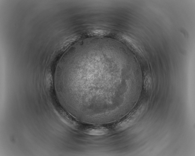 X0000112770459200908271645