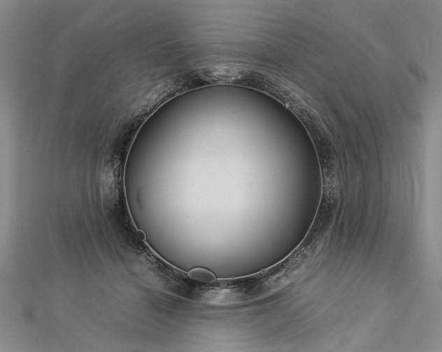 X0000112770460200908271645
