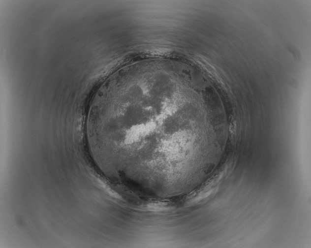 X0000112770462200908271645
