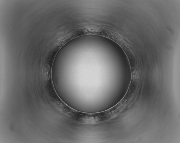 X0000112770464200908271645