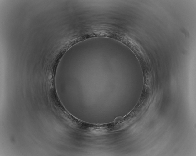 X0000112770465200908271645