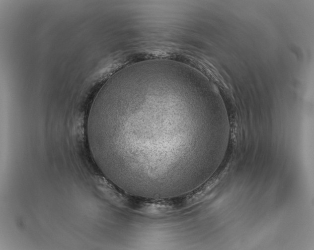 X0000112770466200908271645