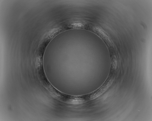X0000112770467200908271645