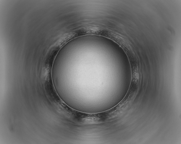 X0000112770468200908271645