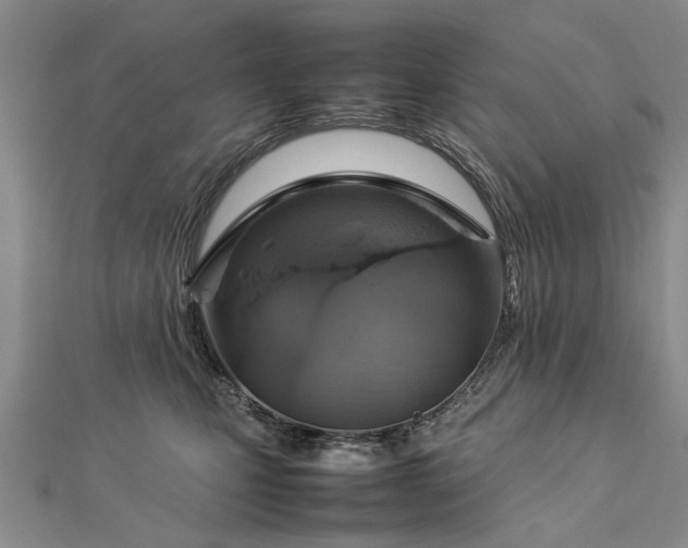X0000112770471200908271645