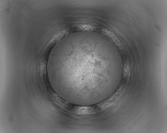 X0000112770473200908271645
