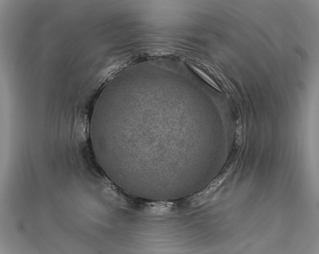 X0000112770474200908271645
