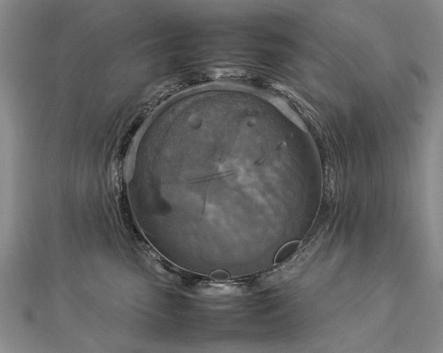X0000112770475200908271645