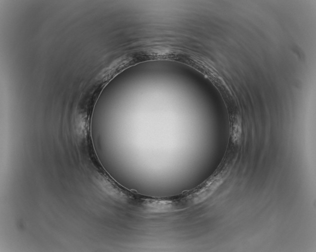 X0000112770476200908271645