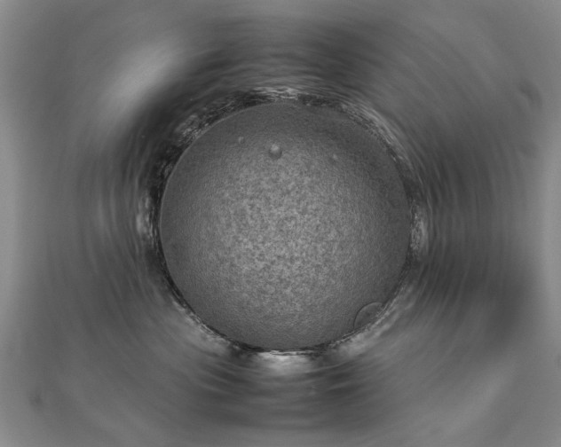 X0000112770477200908271645