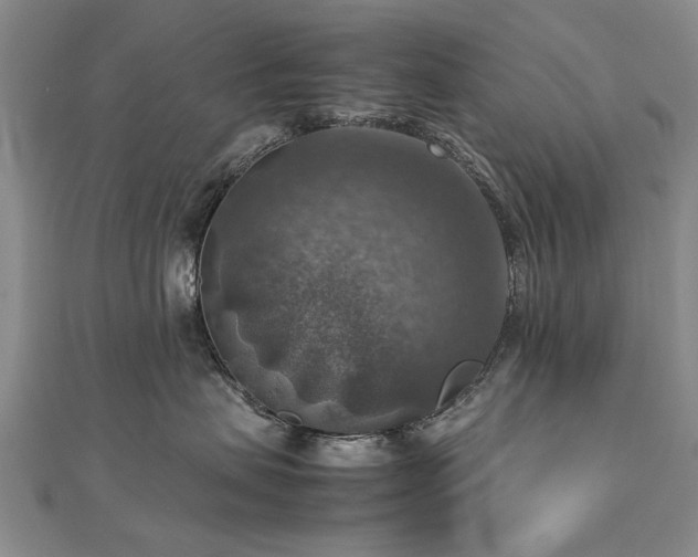 X0000112770479200908271645