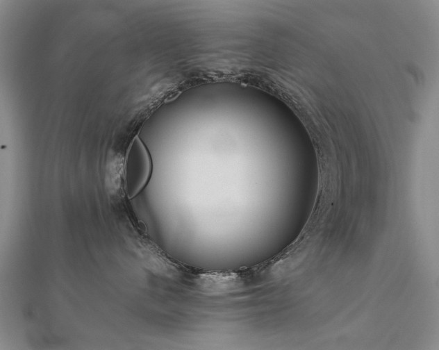 X0000112770480200908271645