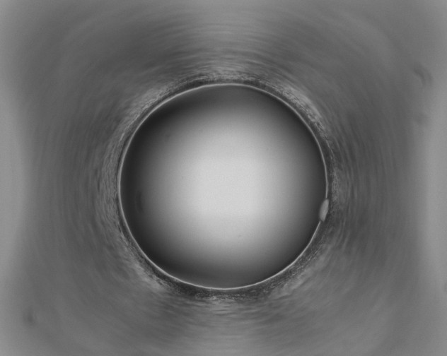 X0000112770481200908271645