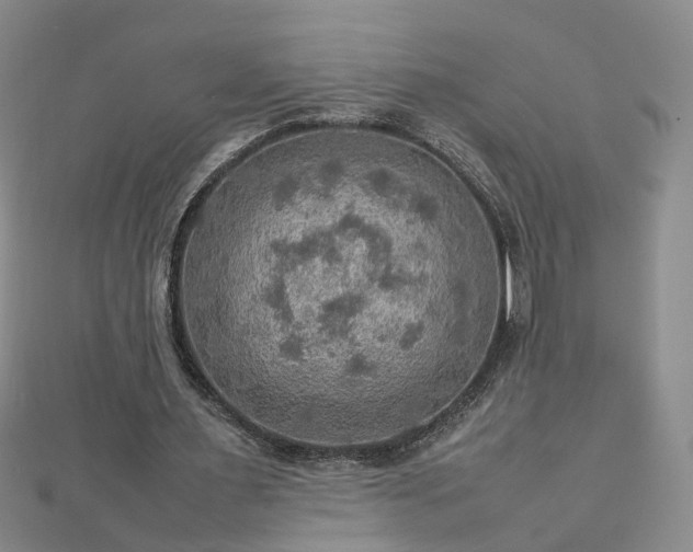 X0000112770483200908271645