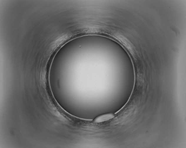 X0000112770485200908271645