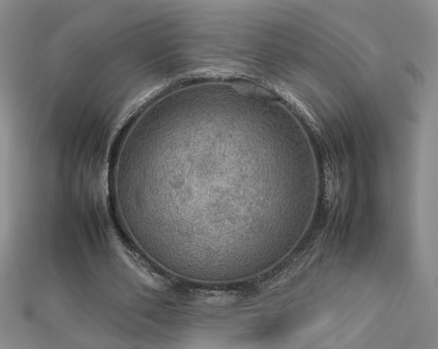 X0000112770486200908271645