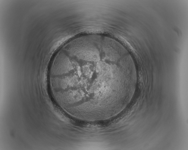 X0000112770487200908271645