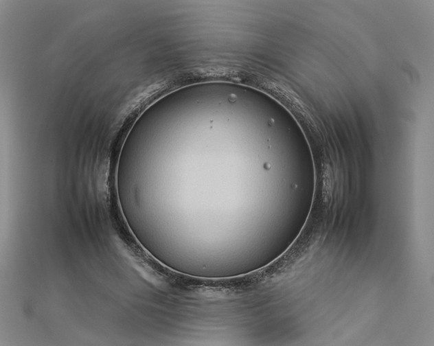 X0000112770490200908271645