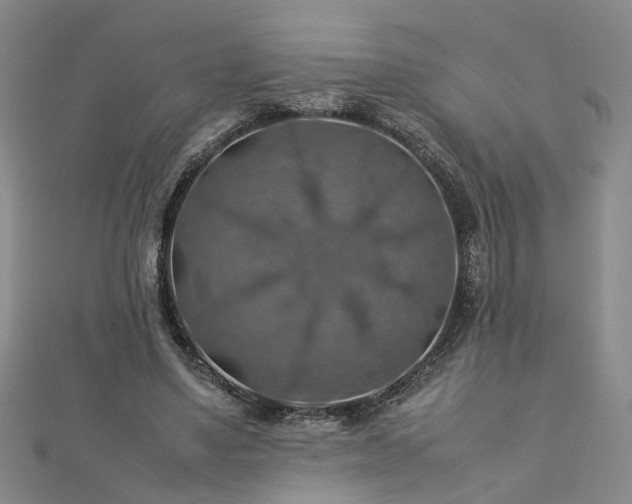 X0000112770491200908271645