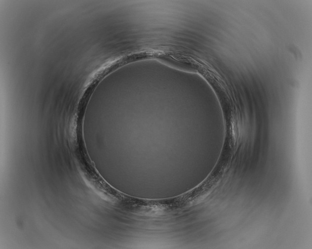 X0000112770492200908271645