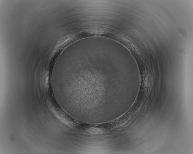 X0000112770494200908271645