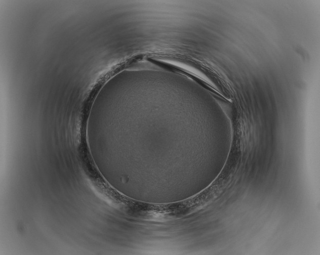 X0000112770496200908271644