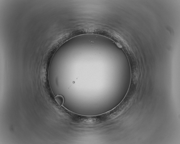 X0000112770497200908271644