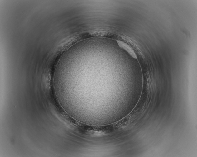 X0000112770498200908271644