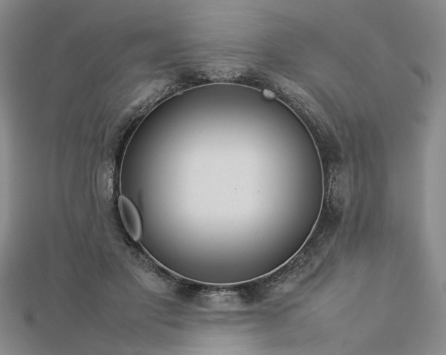 X0000112770501200908271644