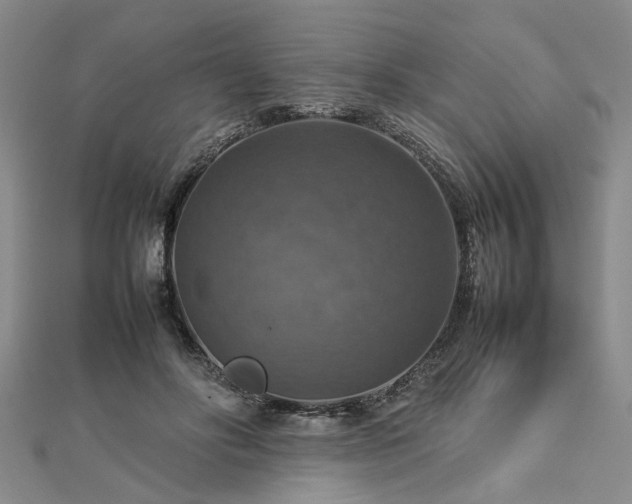 X0000112770502200908271644