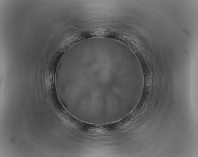 X0000112770503200908271644