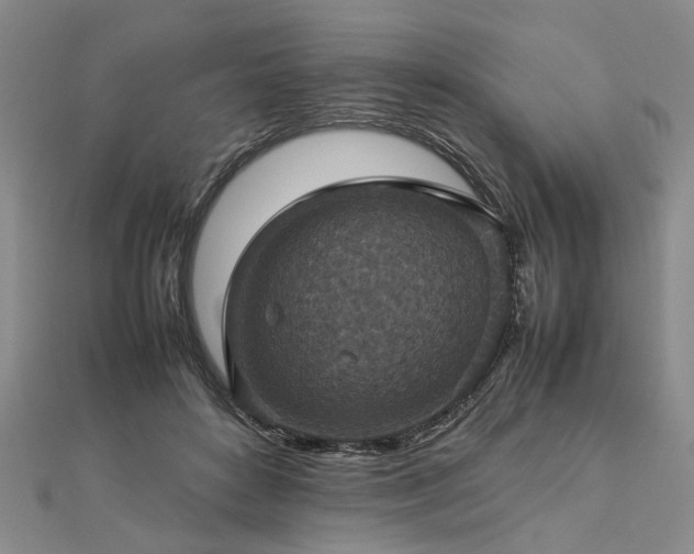 X0000112770504200908271644