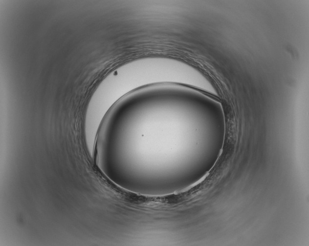 X0000112770505200908271644