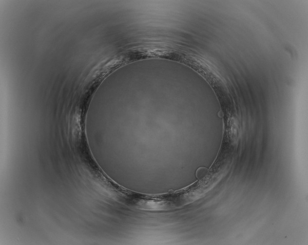 X0000112770506200908271644