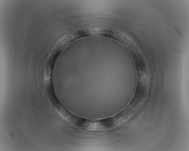 X0000112770507200908271644