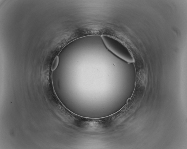 X0000112770509200908271644
