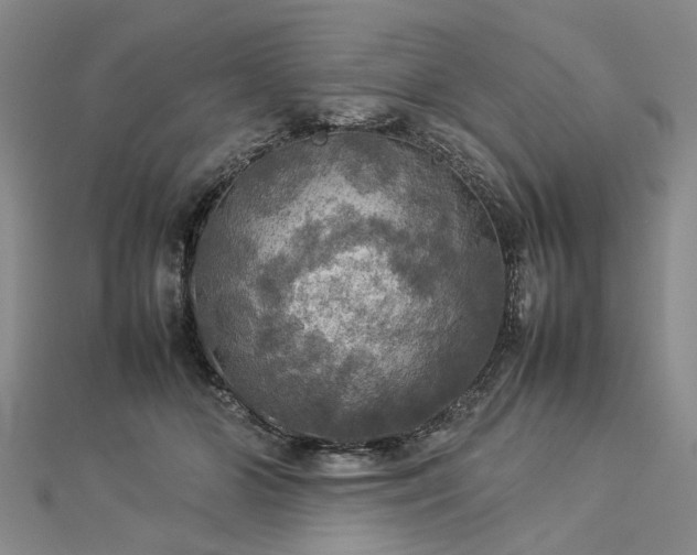 X0000112770510200908271644