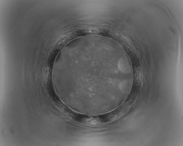 X0000112770511200908271644