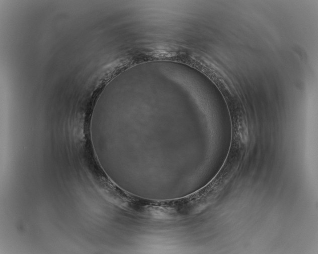 X0000112770512200908271644