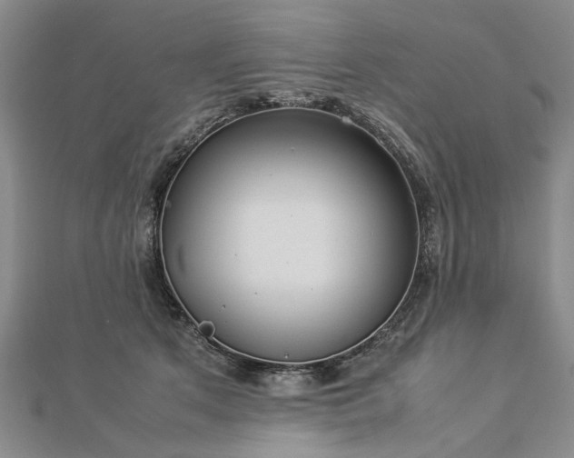 X0000112770513200908271644