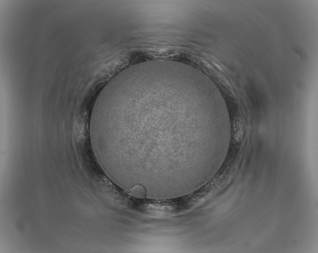 X0000112770515200908271644