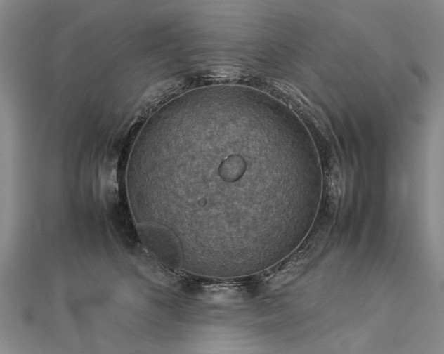 X0000112770516200908271644