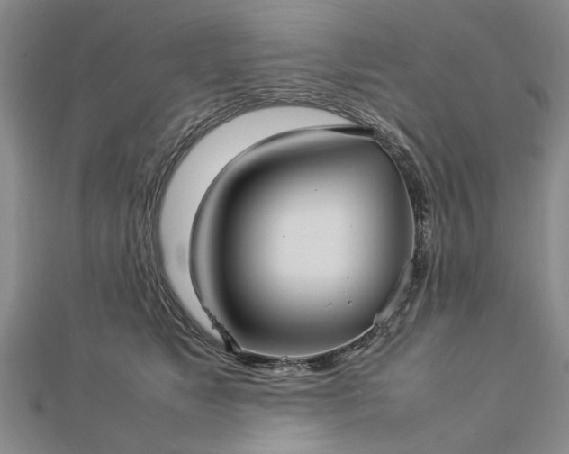 X0000112770517200908271644
