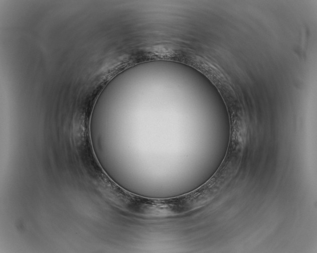 X0000112770518200908271644