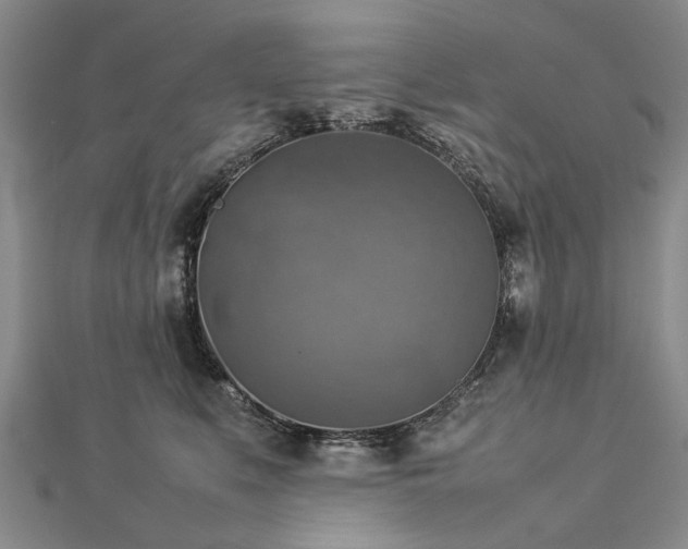 X0000112770519200908271644