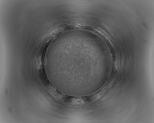 X0000112770520200908271644
