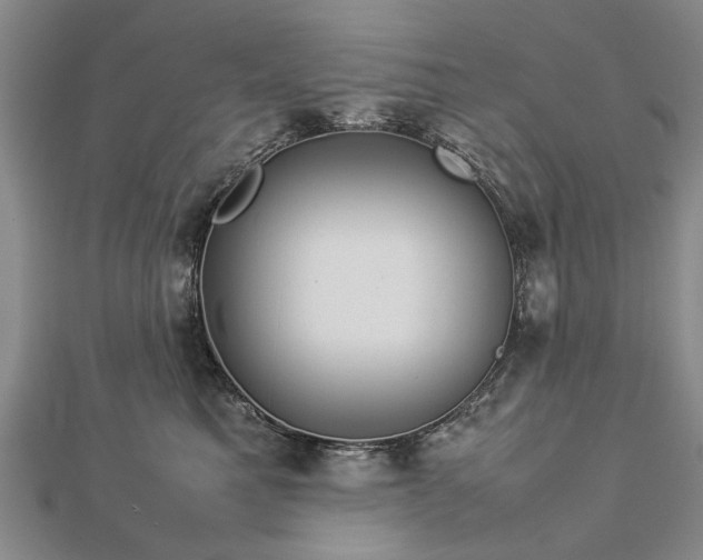 X0000112770521200908271644