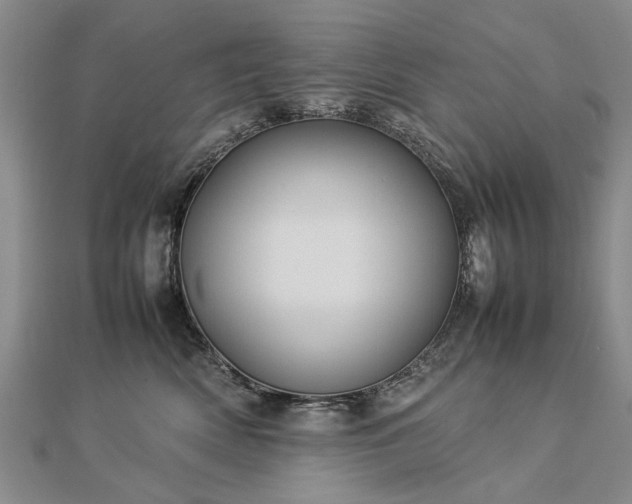 X0000112770522200908271644