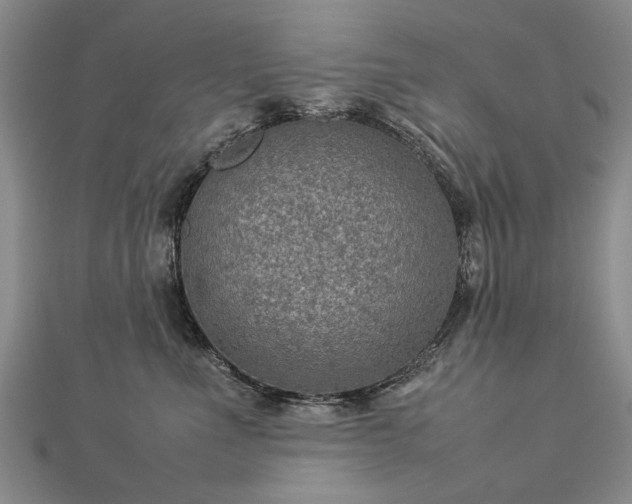 X0000112770523200908271644