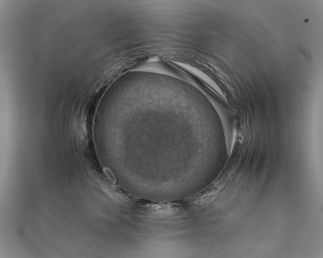 X0000112770524200908271644